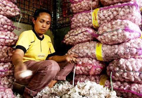 Mentan Janji Bawang Putih Dijual Rp15 Ribu per Kg Pekan ini